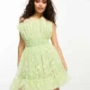 Lace & Beads Petite - Vestito Corto A Fascia In Tulle Verde Con Margherite